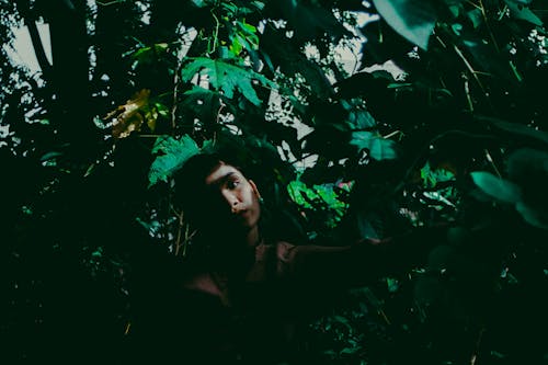 Woman Posing Under Green Leafed Trees