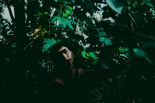 Free Artistic portrait of a woman amidst dense, shadowy green foliage, with dramatic lighting. Stock Photo