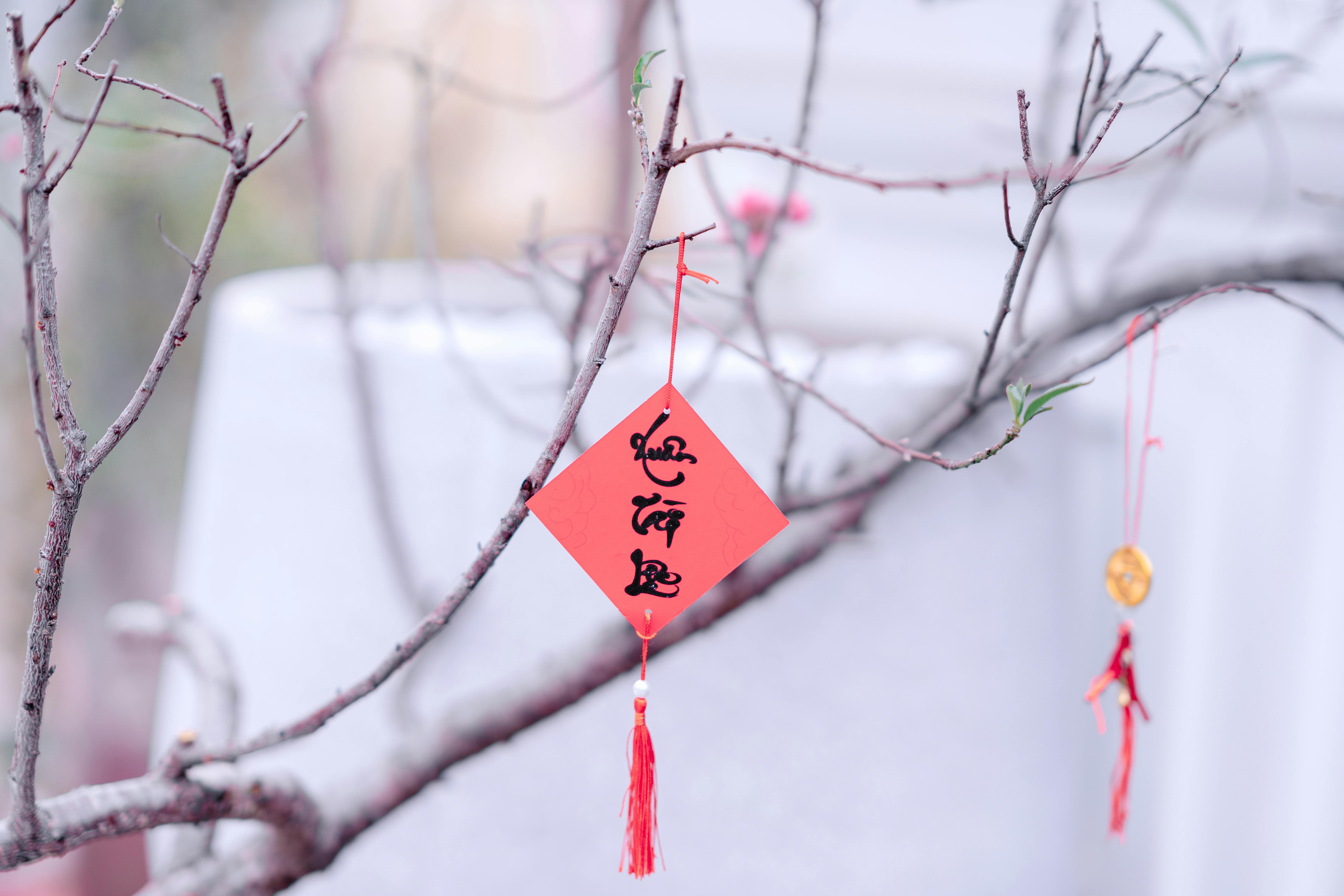 Cherry blossom branches adorned with Chinese New Year decorations, symbolizing good fortune.