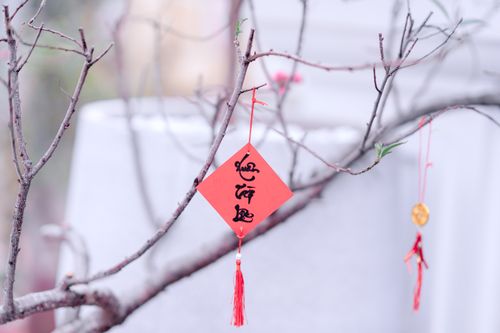 Free Cherry blossom branches adorned with Chinese New Year decorations, symbolizing good fortune. Stock Photo