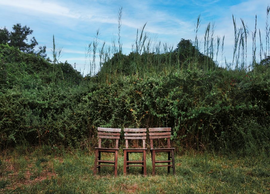 Three wooden chairs sit against a backdrop of lush greenery in Antalya, Türkiye, evoking a tranquil rural scene.
