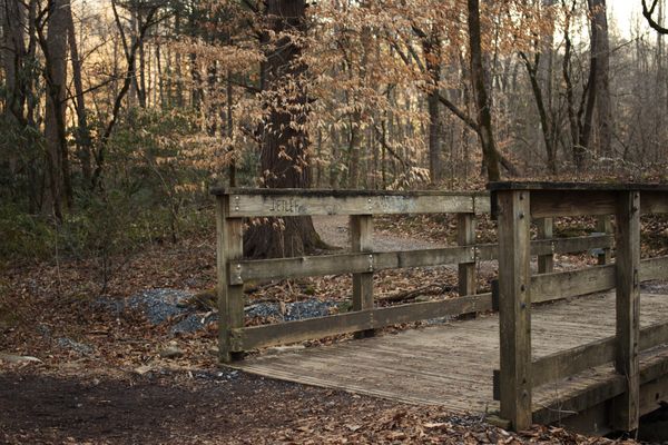 A weathered wooden bridge on an autumn forest trail — Trash Photography on Pexels