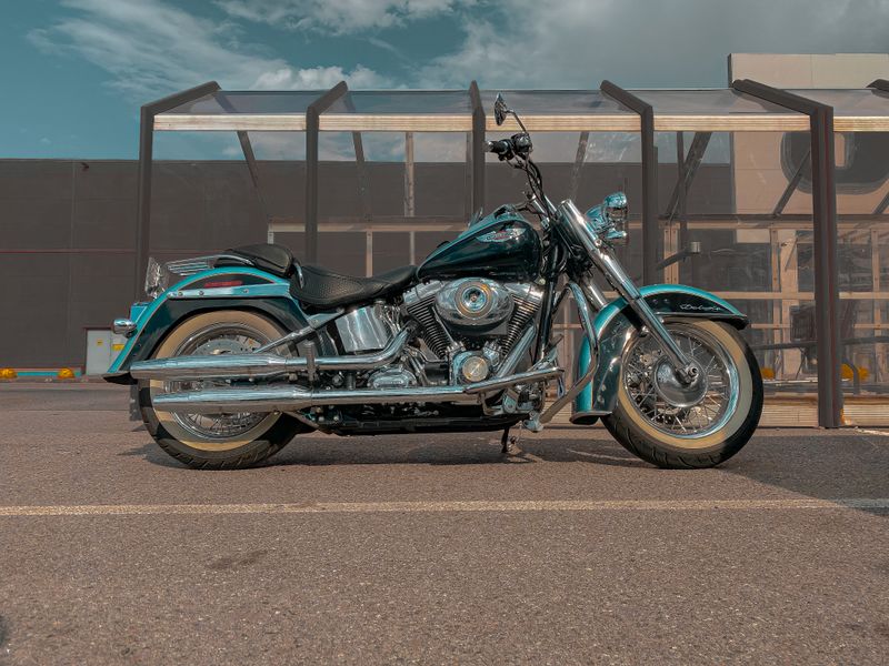 Street Motorcycle & Cruiser Action