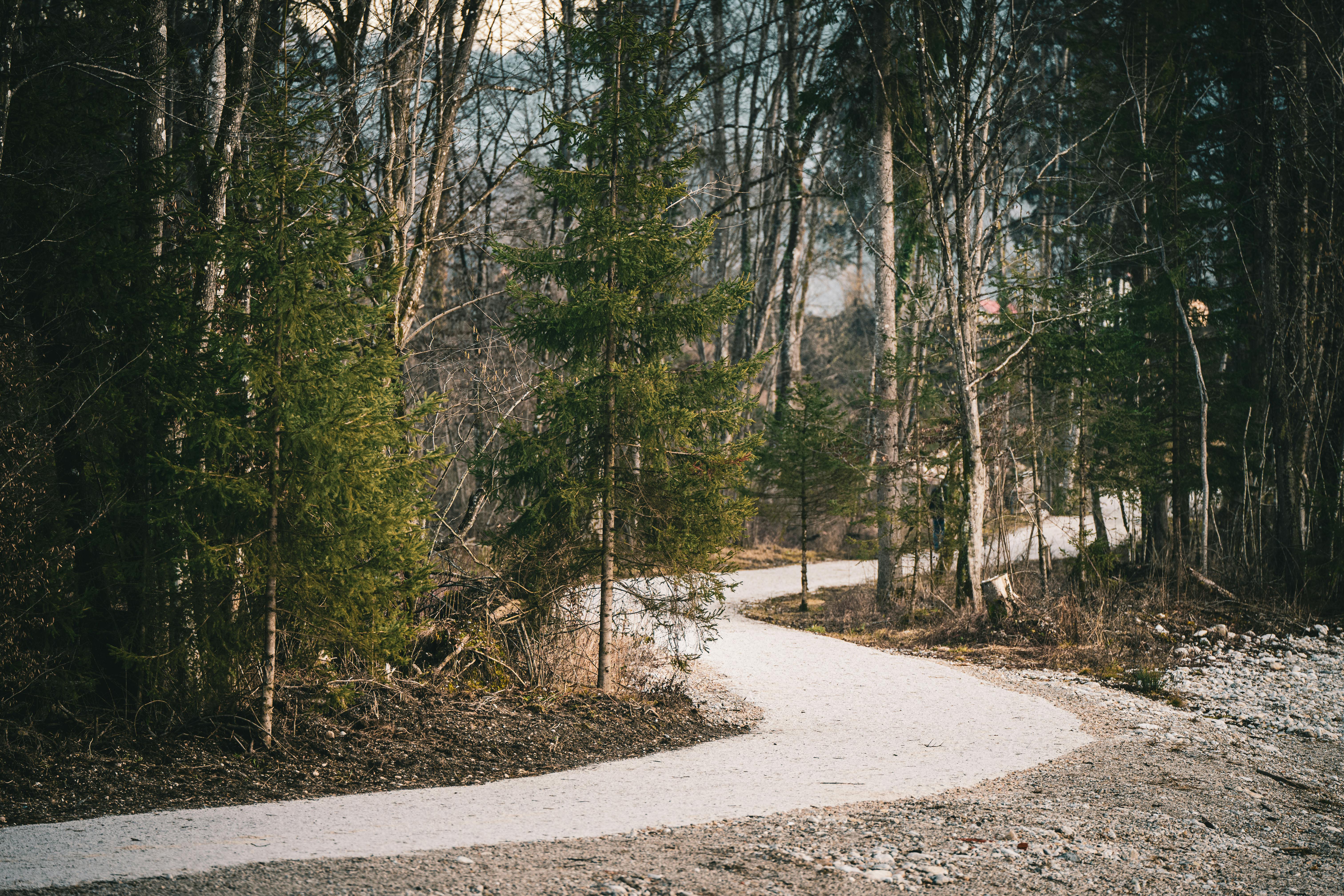 Experience Serenity with a Slovenia Rural Stay