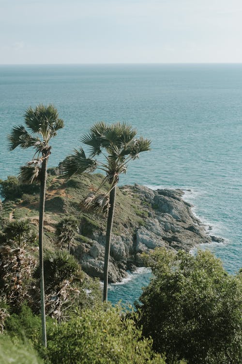 Luchtfotografie Van Groene Bomen Op Een Heuvel Omringd Door De Blauwe Zee