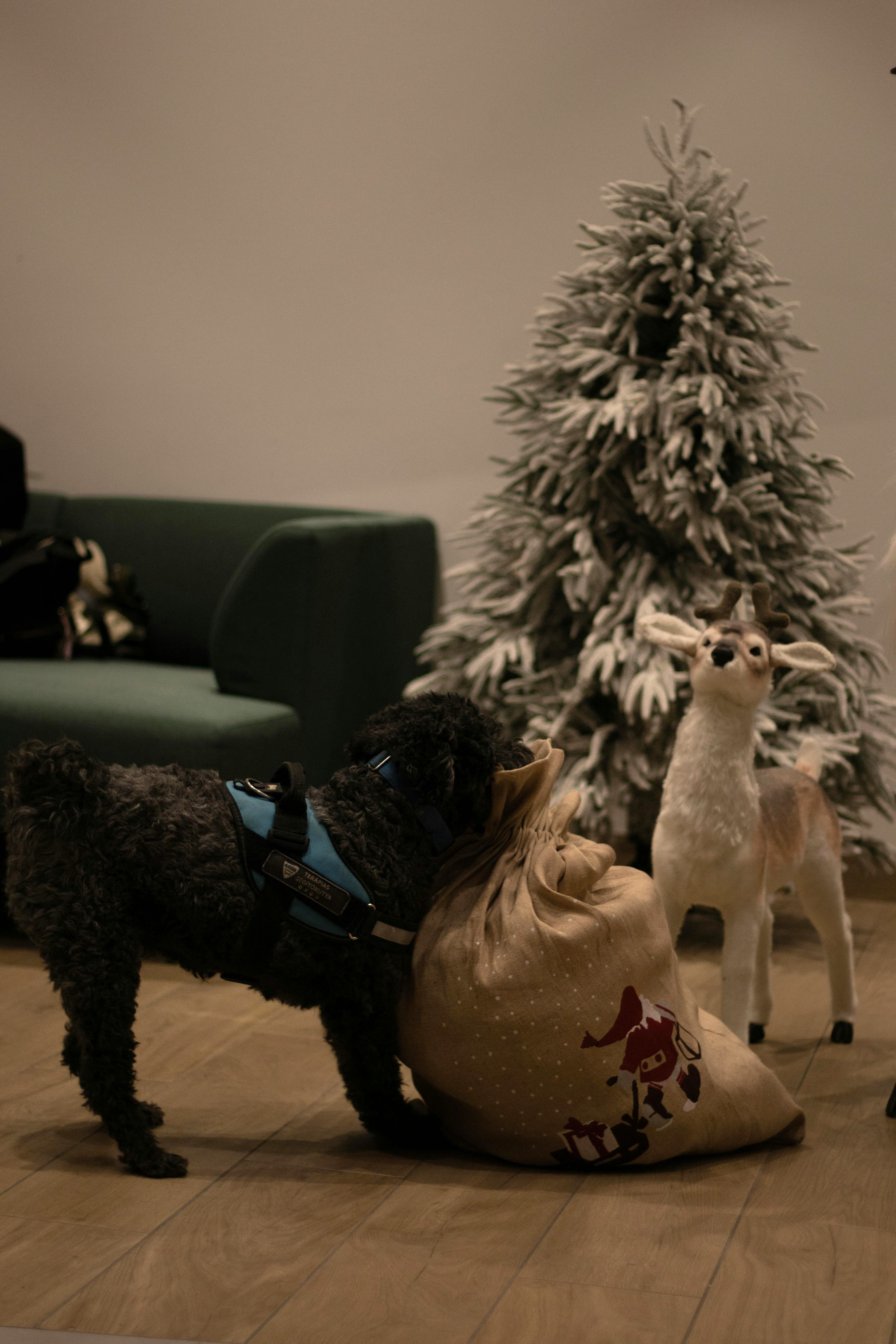 Dog exploring gift sack near Christmas tree and reindeer in cozy room.