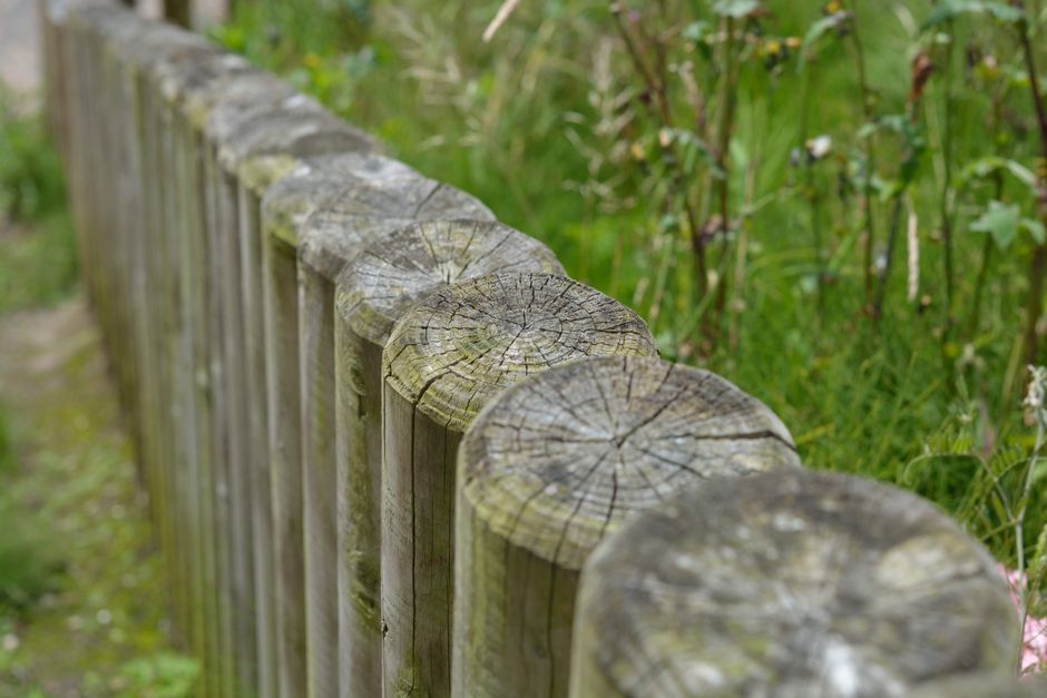 Detailed view of weathered wooden fence posts surrounded by lush greenery.