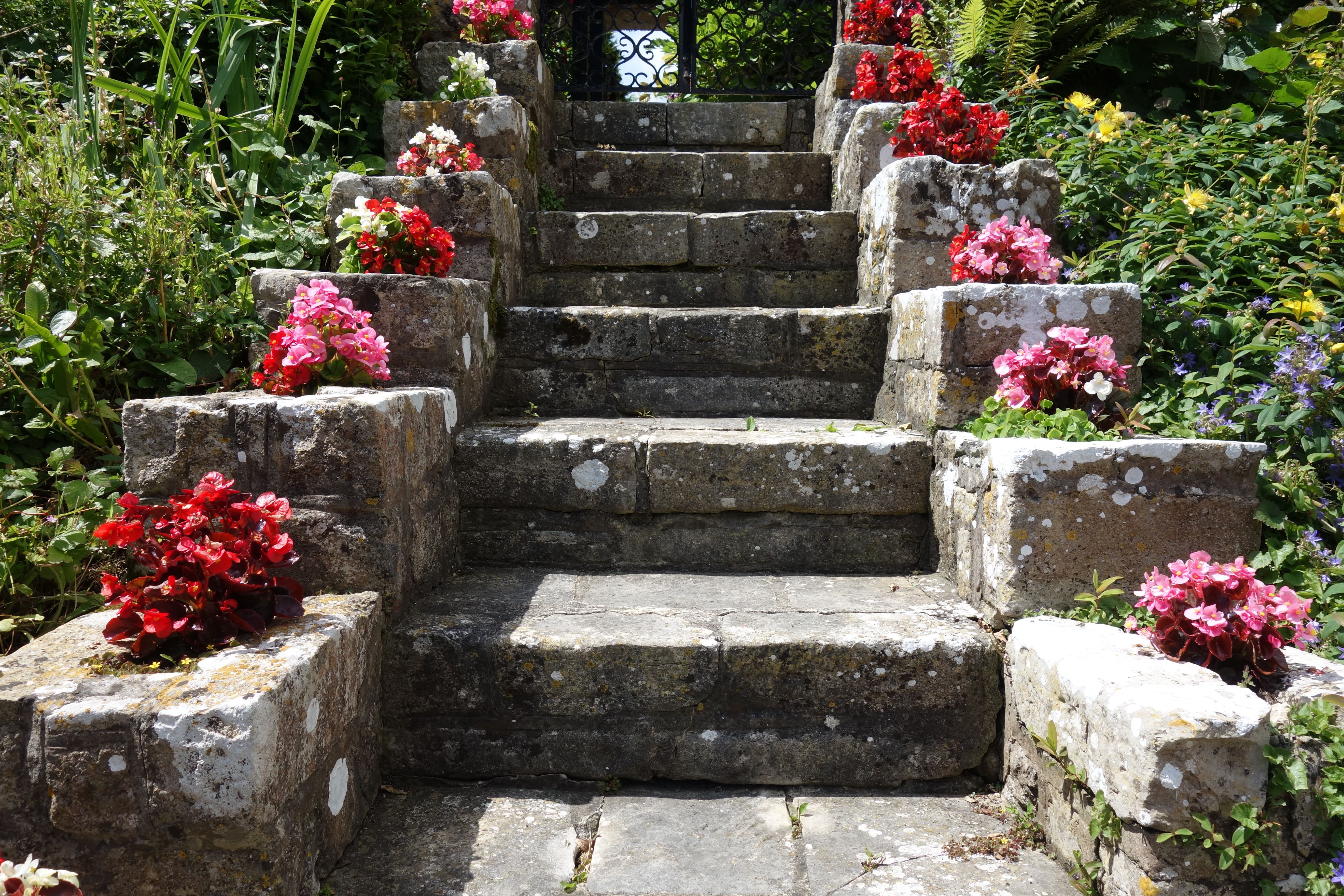 Stone Garden Steps with Colorful Flowers · Free Stock Photo