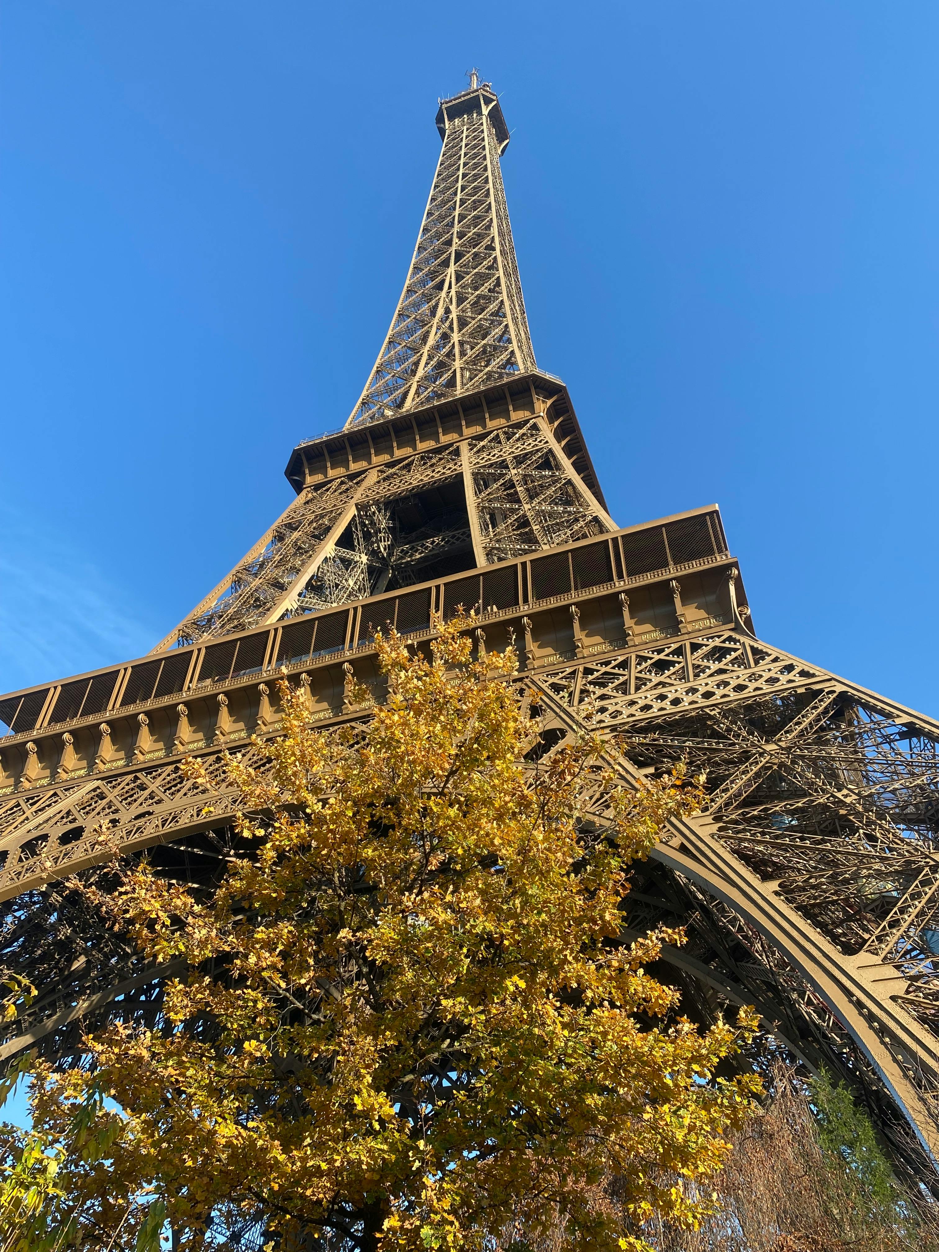 eiffel tower from below with autumn foliage