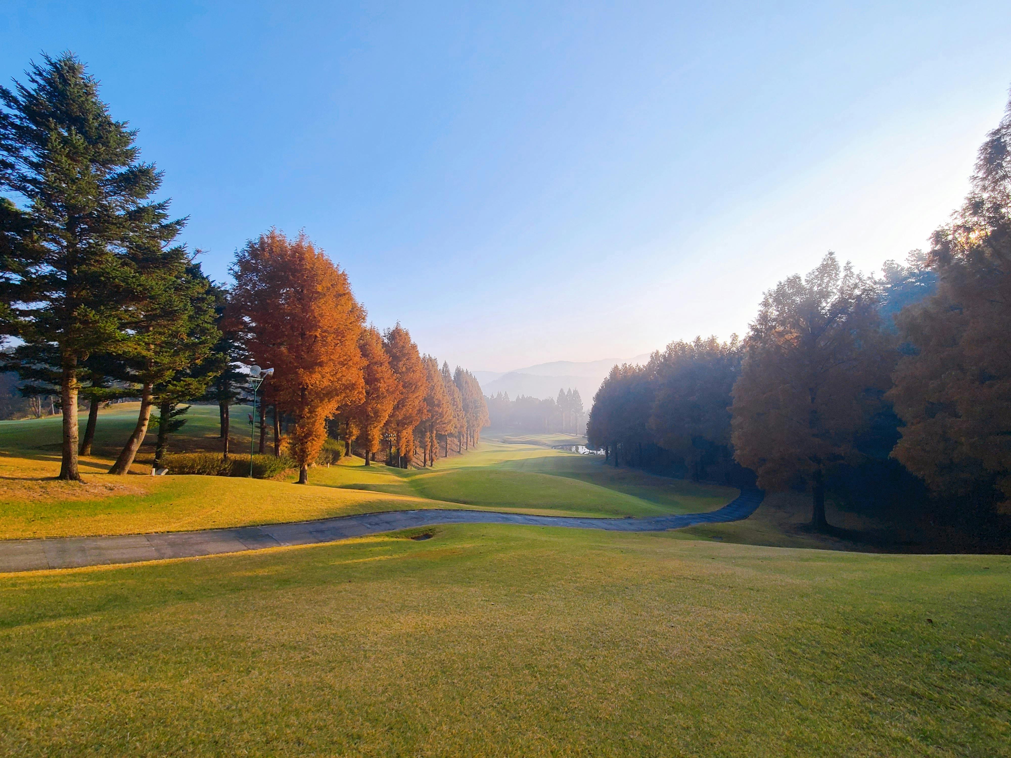A picturesque autumn scene with vibrant foliage on a golf course in South Korea.