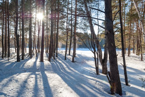 When Does The Winter Solstice Happen In 2025? Find Out