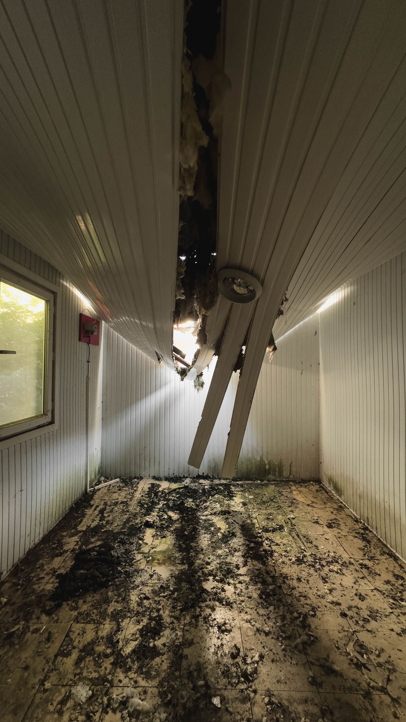Water Mitigation