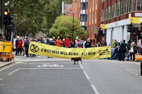 Free stock photo of extinction rebellion