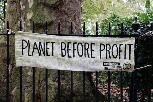 Free stock photo of climate change, extinction rebellion, london