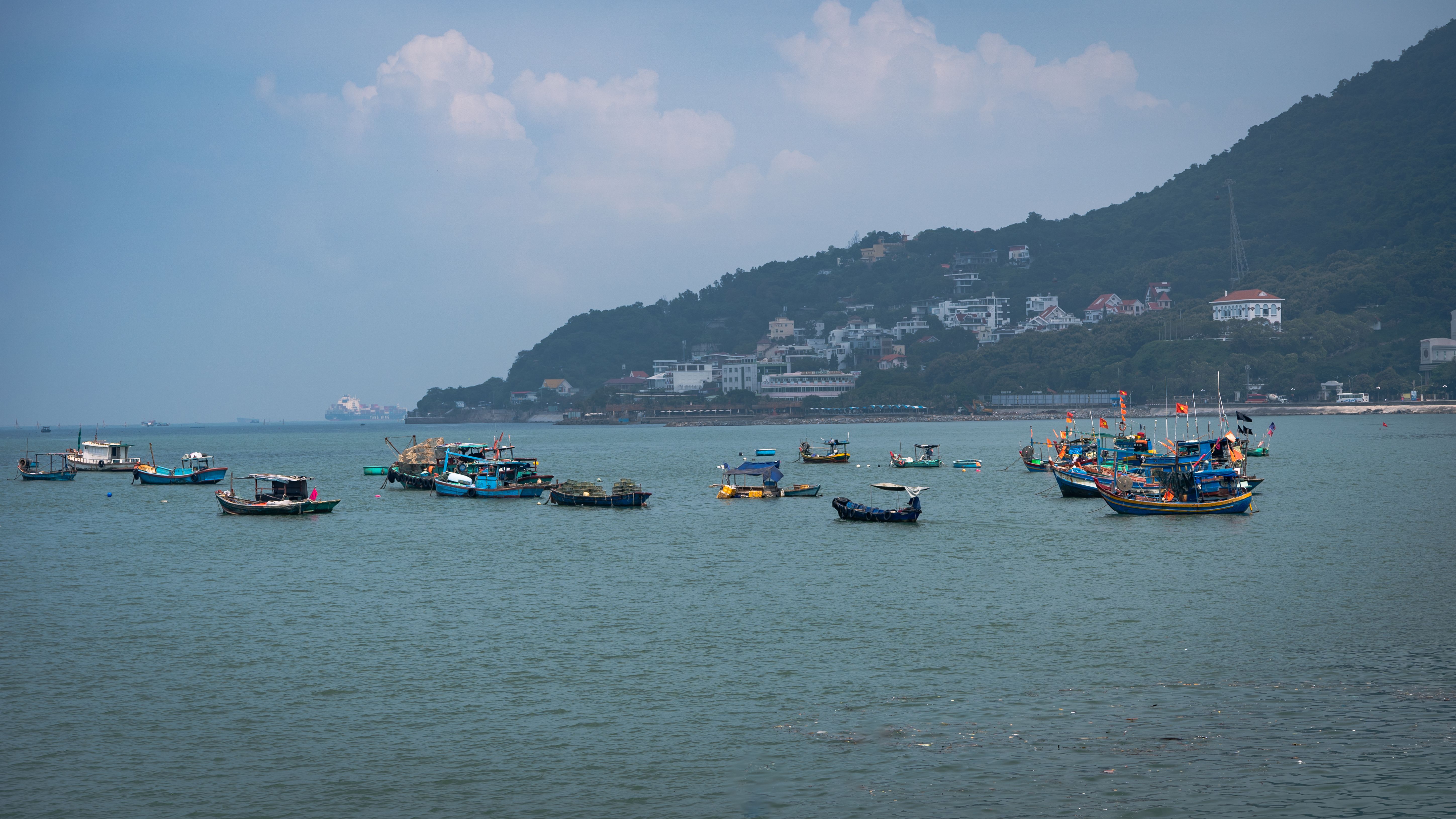 Colorful Fishing Boats Docked in Tranquil Bay · Free Stock Photo