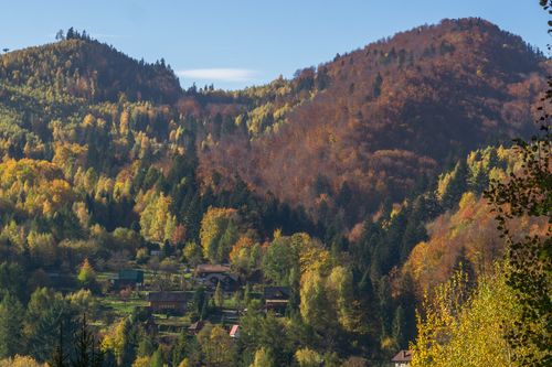 Free Picturesque autumn landscape of lush mountains and colorful trees. Stock Photo