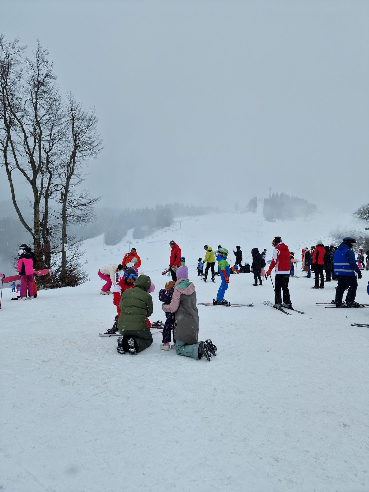Skier on mellow run