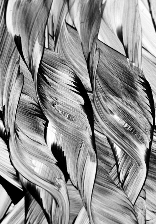 Free Intricate abstract design featuring dramatic black and white brushstrokes. Stock Photo