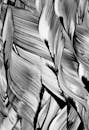 Abstract Black and White Brushstroke Art