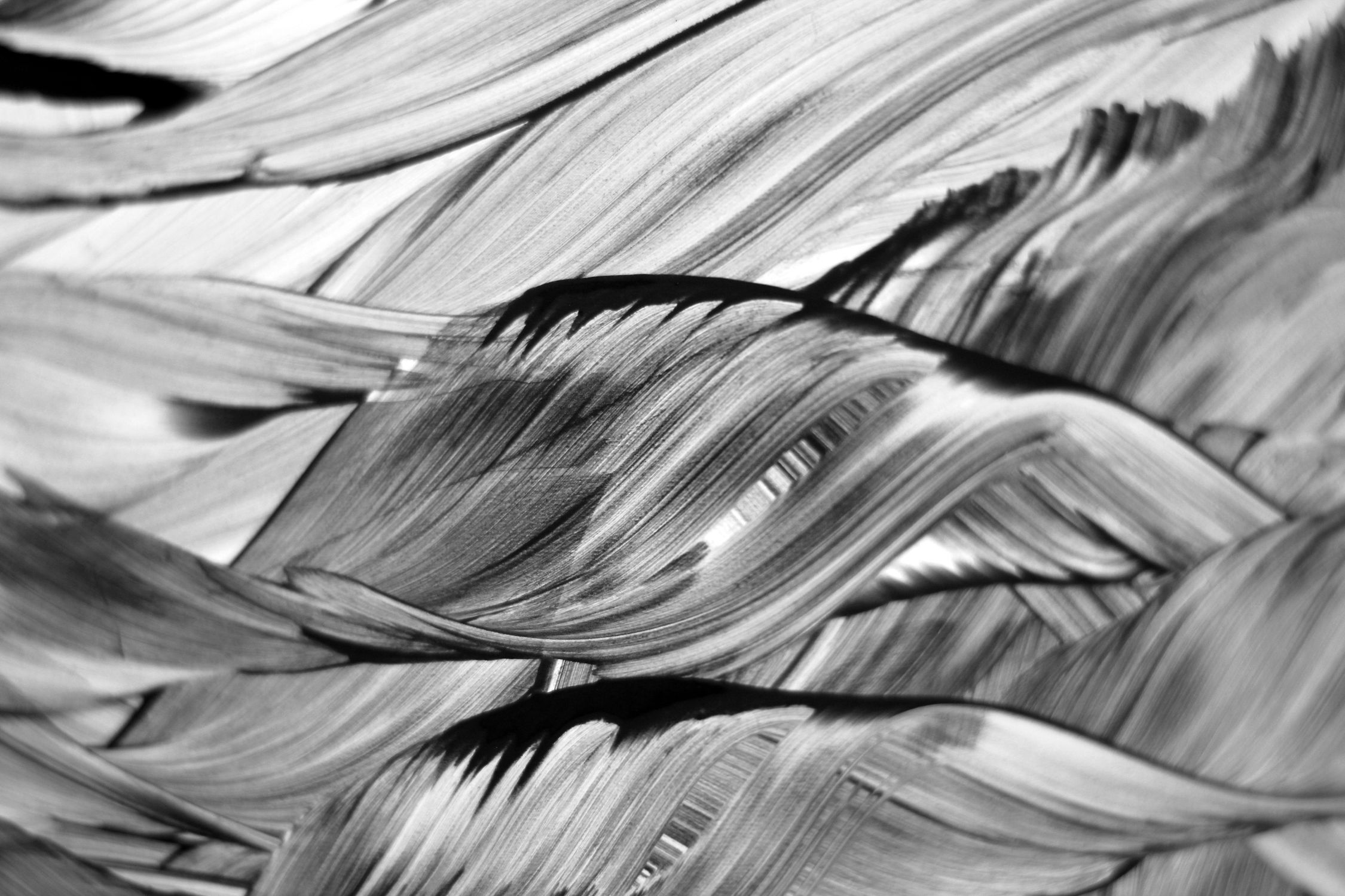 Abstract Black and White Artistic Brush Strokes · Free Stock Photo