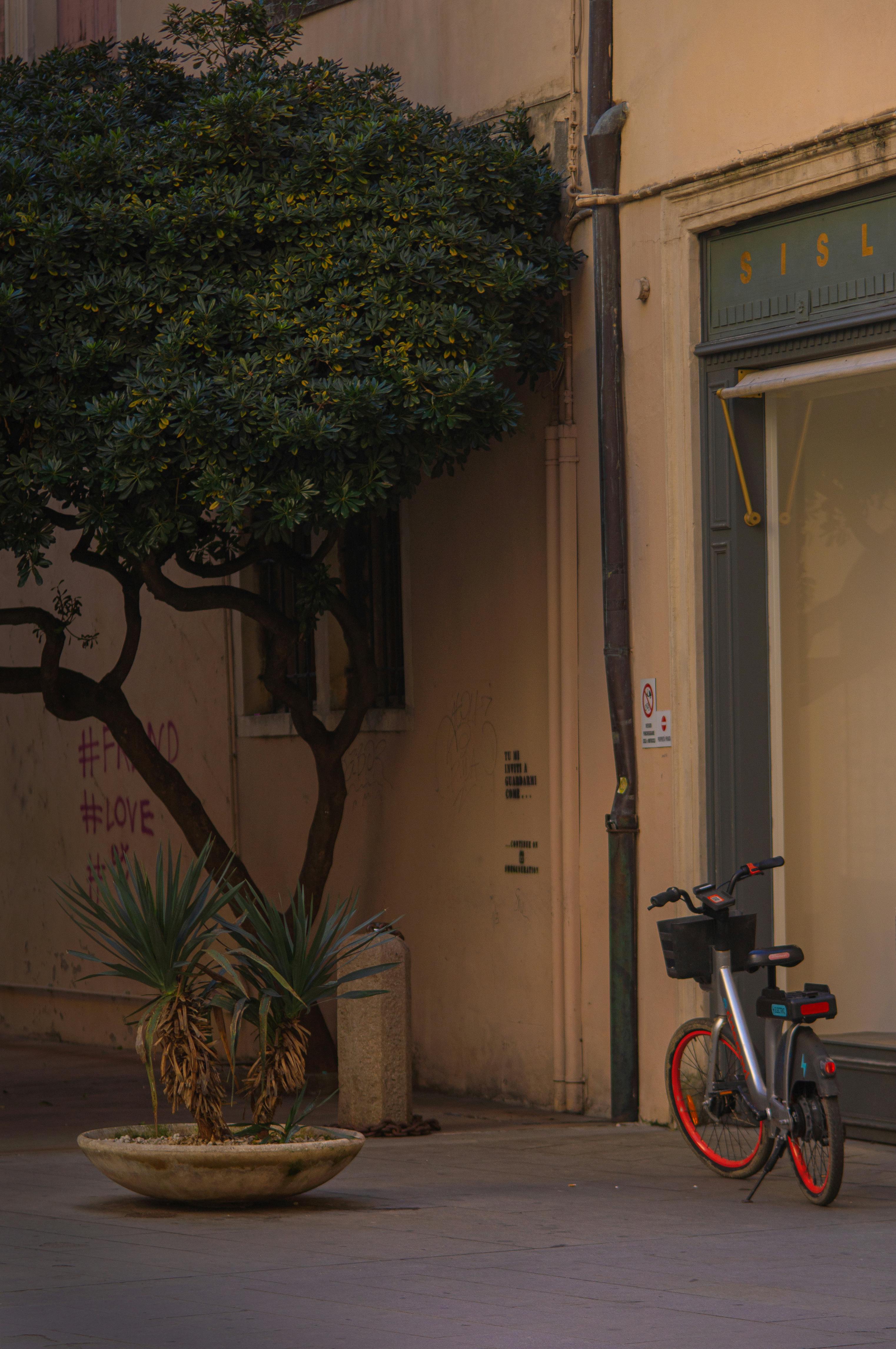 Transportasi di Lampung Barat: Menjelajahi Setiap Sudut dengan Mudah