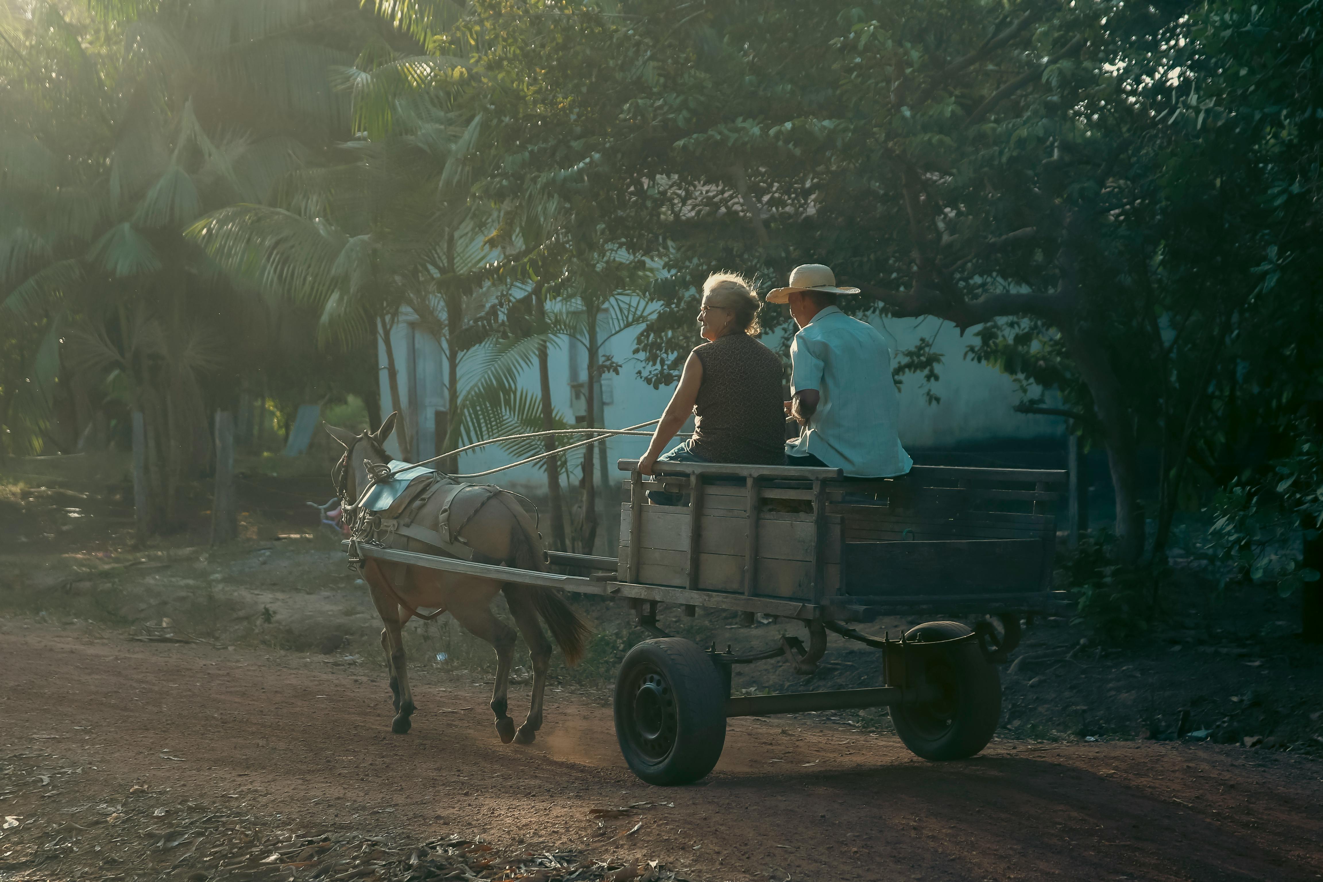 A couple enjoys a relaxing ride on a horse-drawn cart through a tranquil rural setting in Brazil.