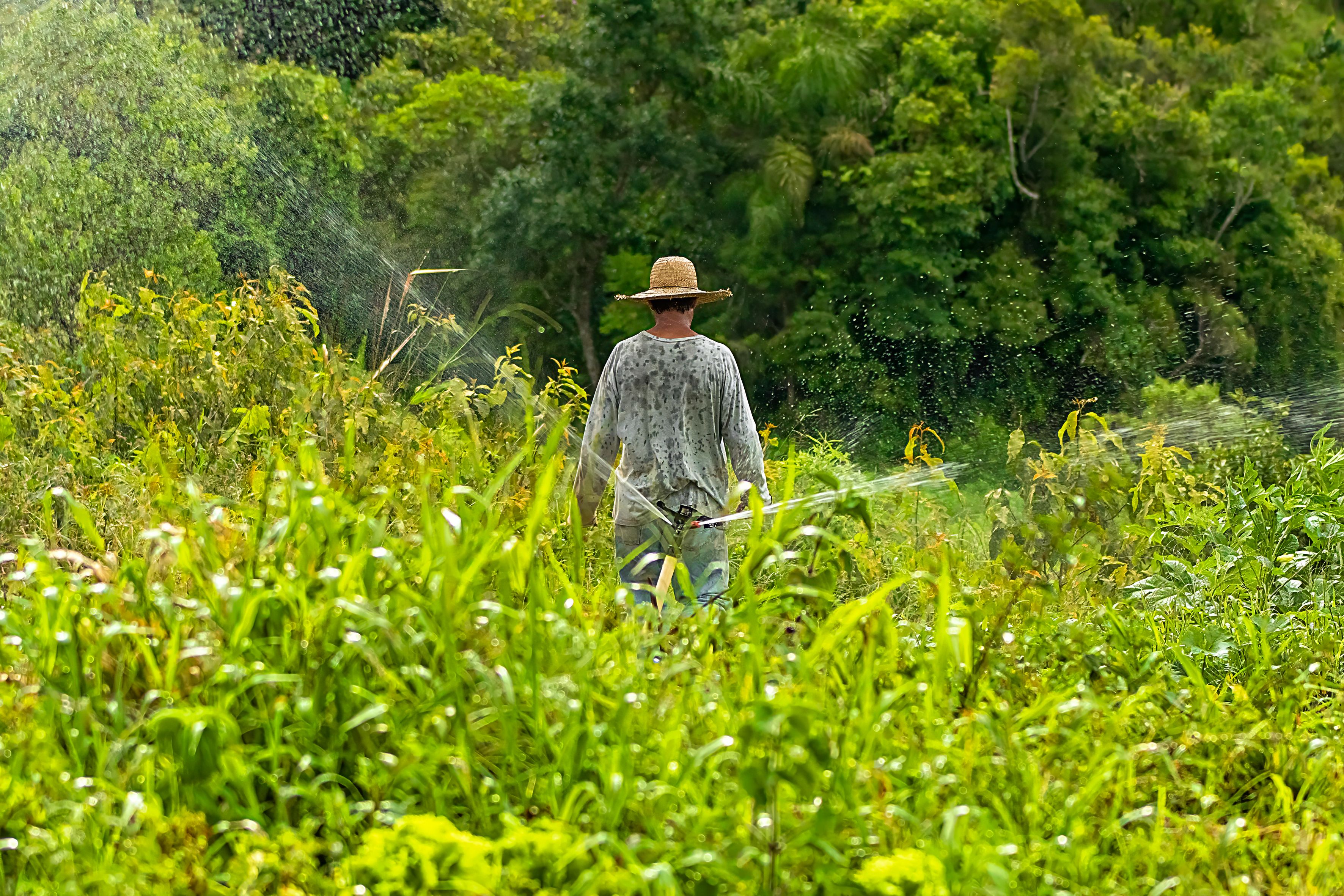 Webinar Farmer Photos Download The Best Free Webinar Farmer Stock