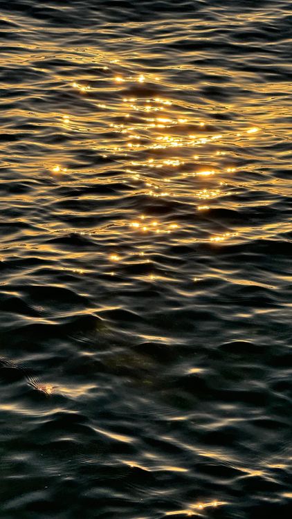 Golden Sunlight Reflecting on Ocean Waves · Free Stock Photo