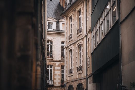 Professionnels à Trégastel