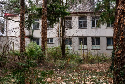 Free Abandoned building in Ohrid surrounded by dense forestry, with an eerie and mysterious ambiance. Stock Photo