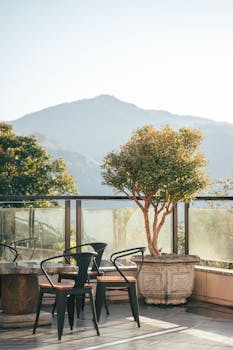 Scenic outdoor terrace with chairs and a potted tree overlooking mountains.