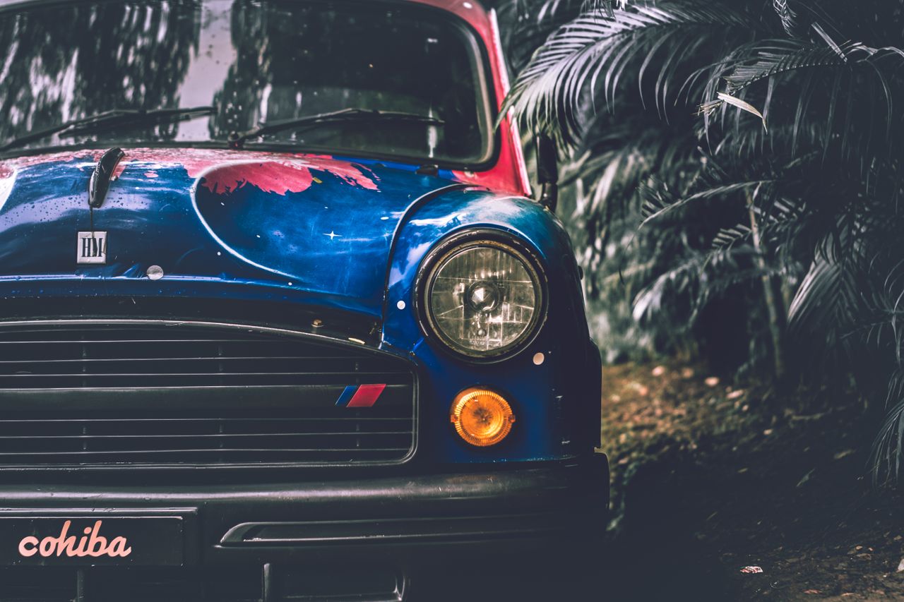close up of a vintage car with artistic paint surrounded by tropical p