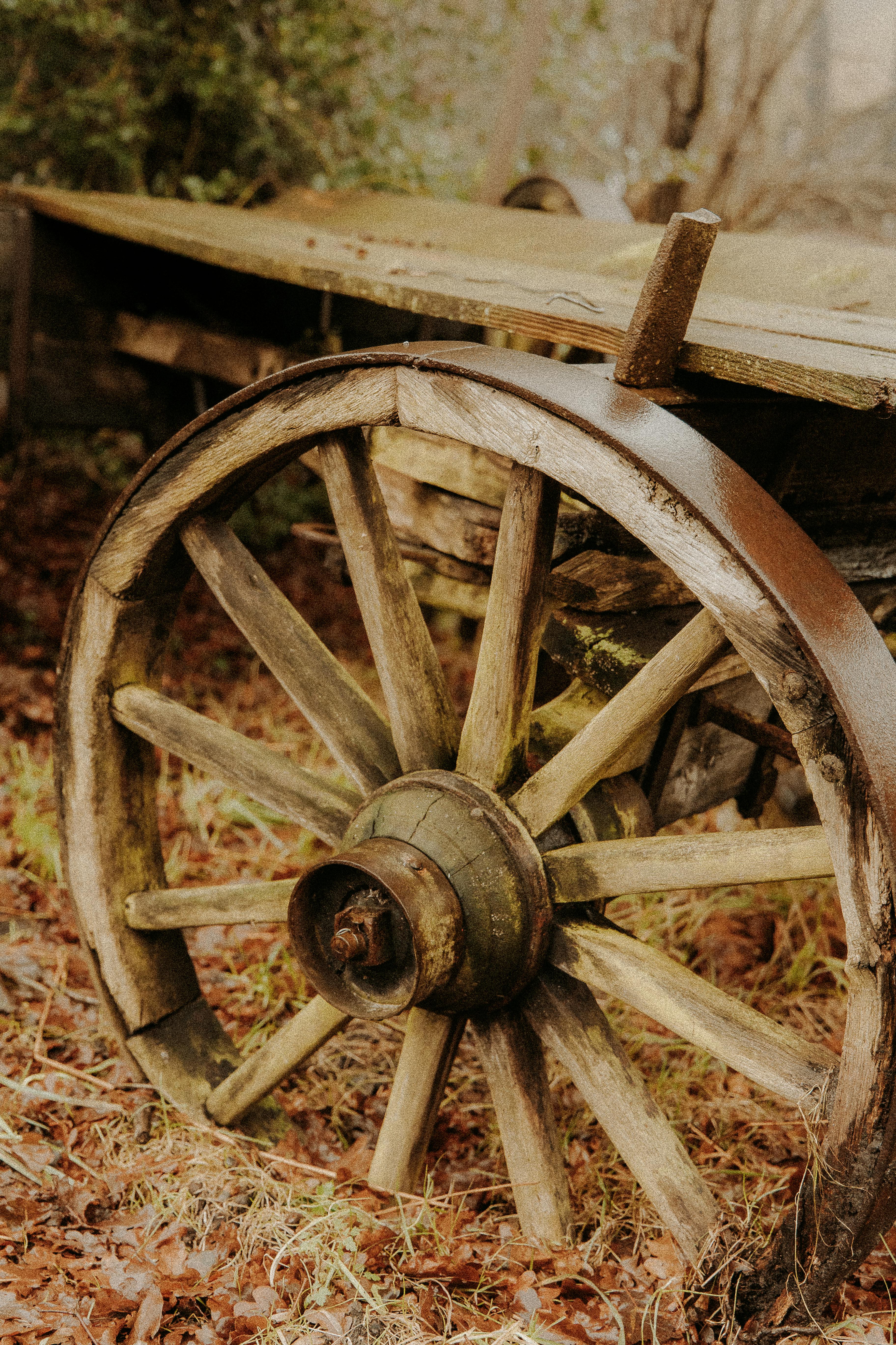 Close-up of a wooden cart wheel with rustic, vintage charm amidst fallen leaves.