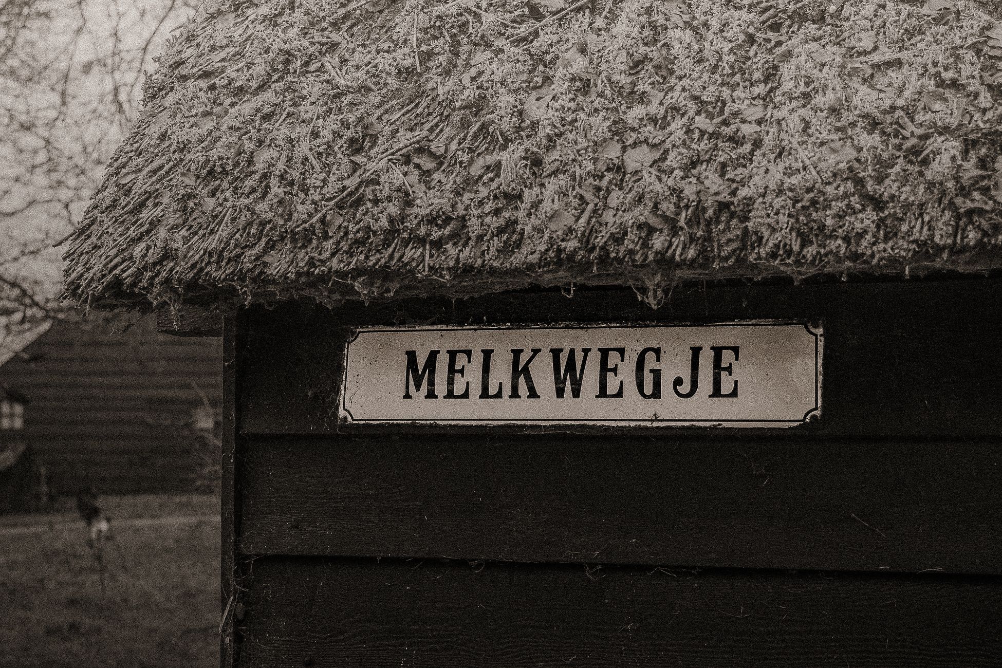 150 verhalen brengen geschiedenis van de Waal tot leven