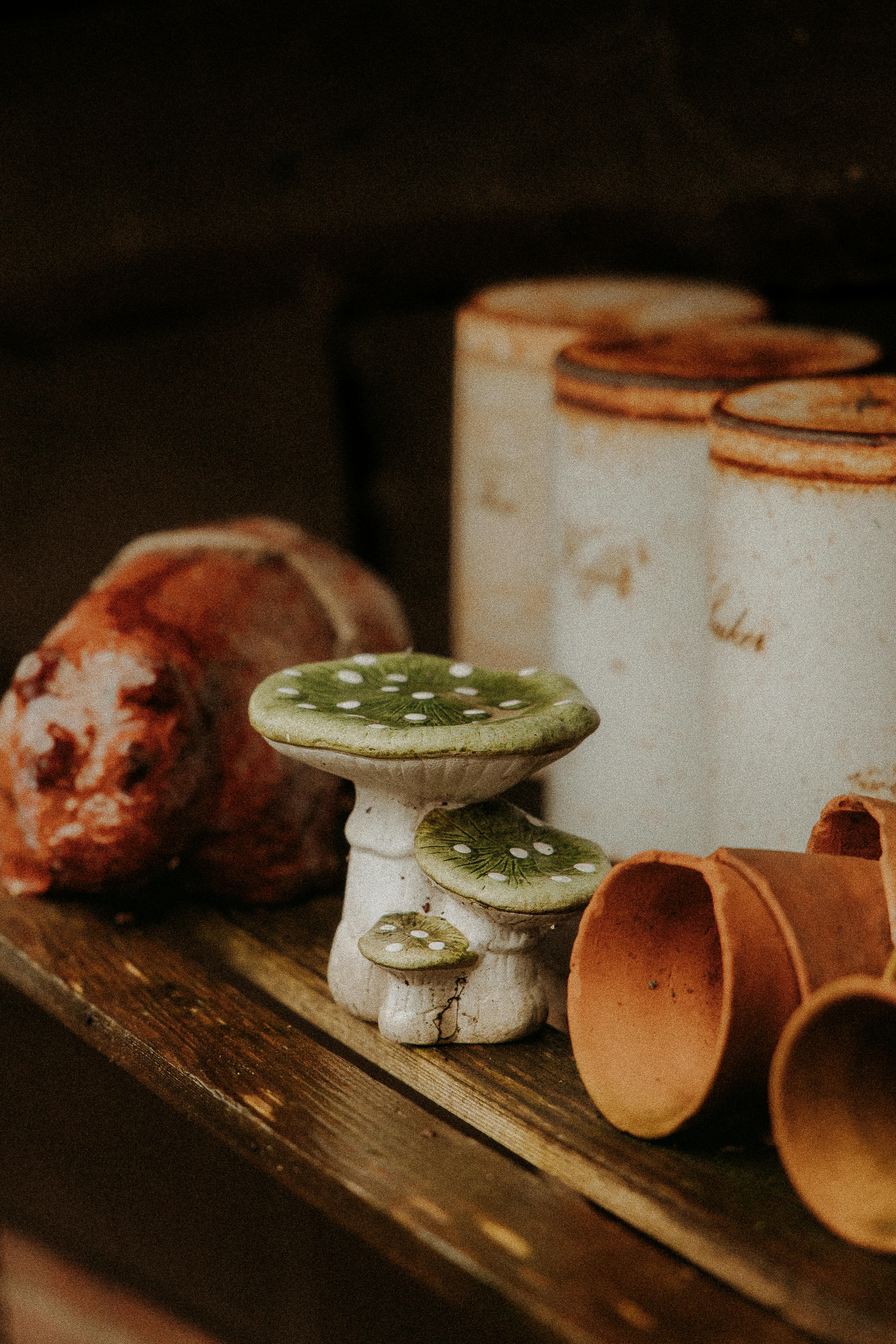 Artistic display of ceramic mushrooms, vintage jars, and pots on a rustic wooden shelf.