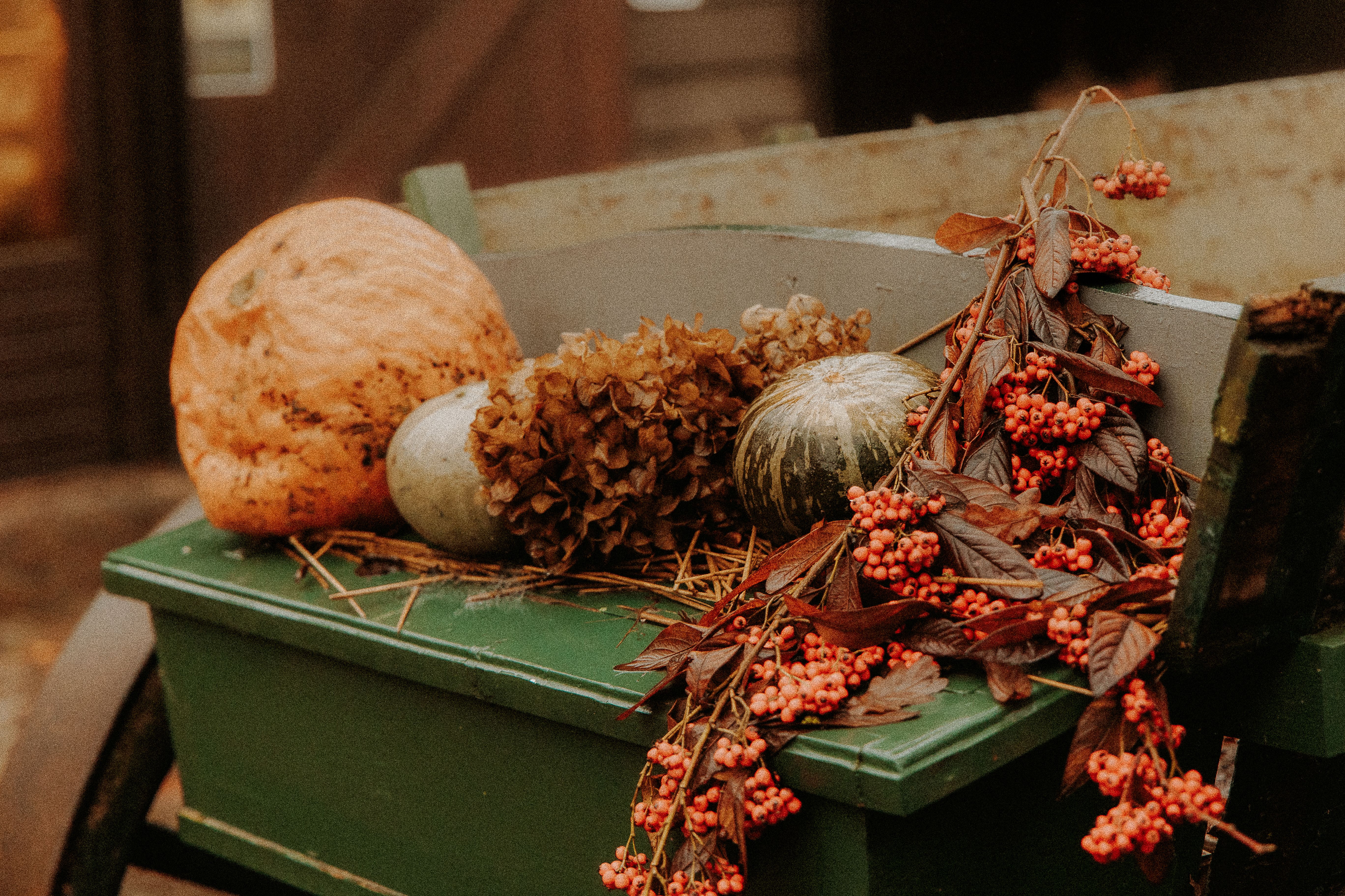 Rustic Autumn Harvest Display with Gourds · Free Stock Photo