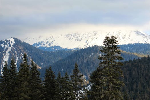 Scenic view of snow-capped mountains and dense pine forests in Kastamonu, Türkiye.