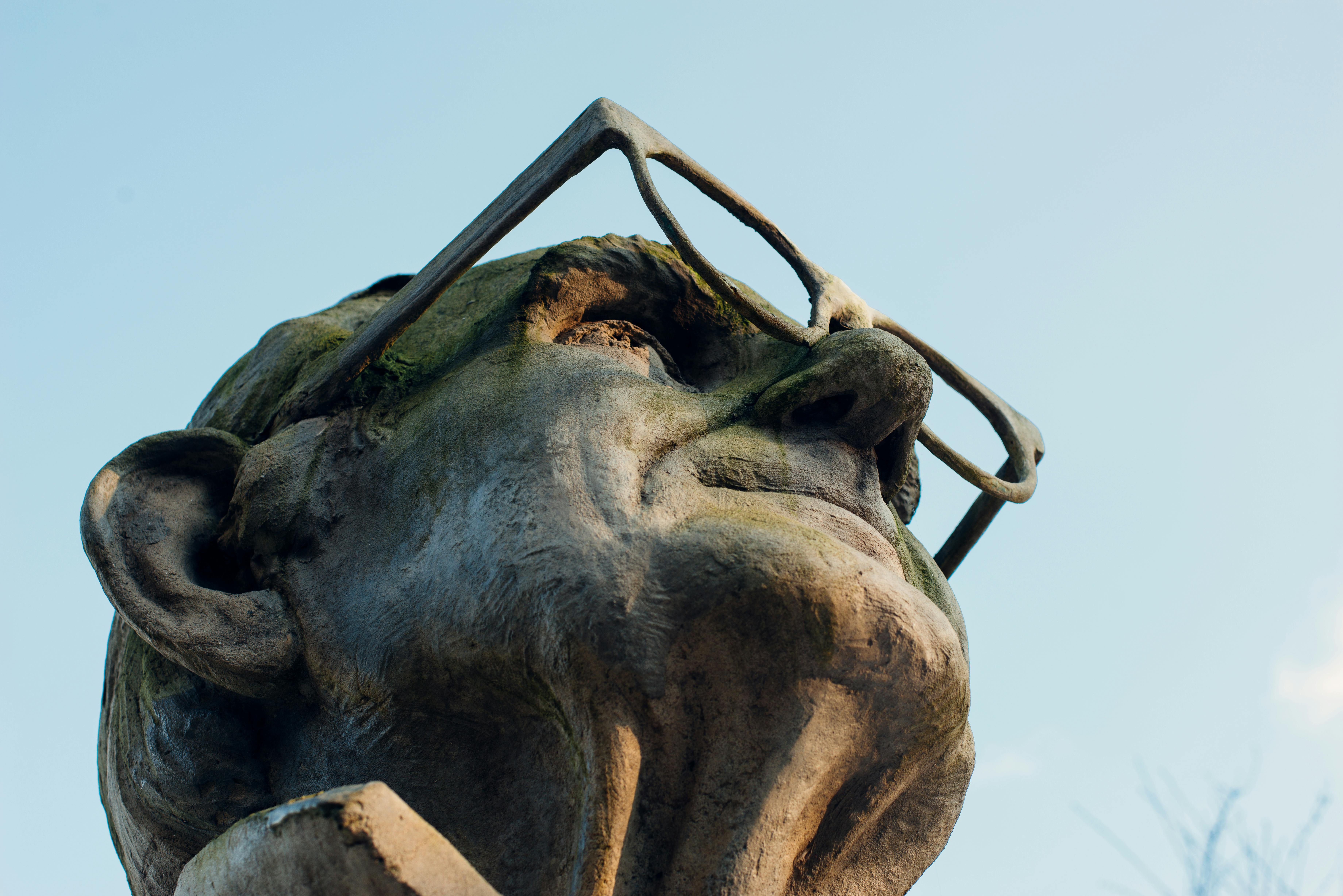 Commentary: Don’t remove sociology from general education — Photo by Ramon Karolan on Pexels