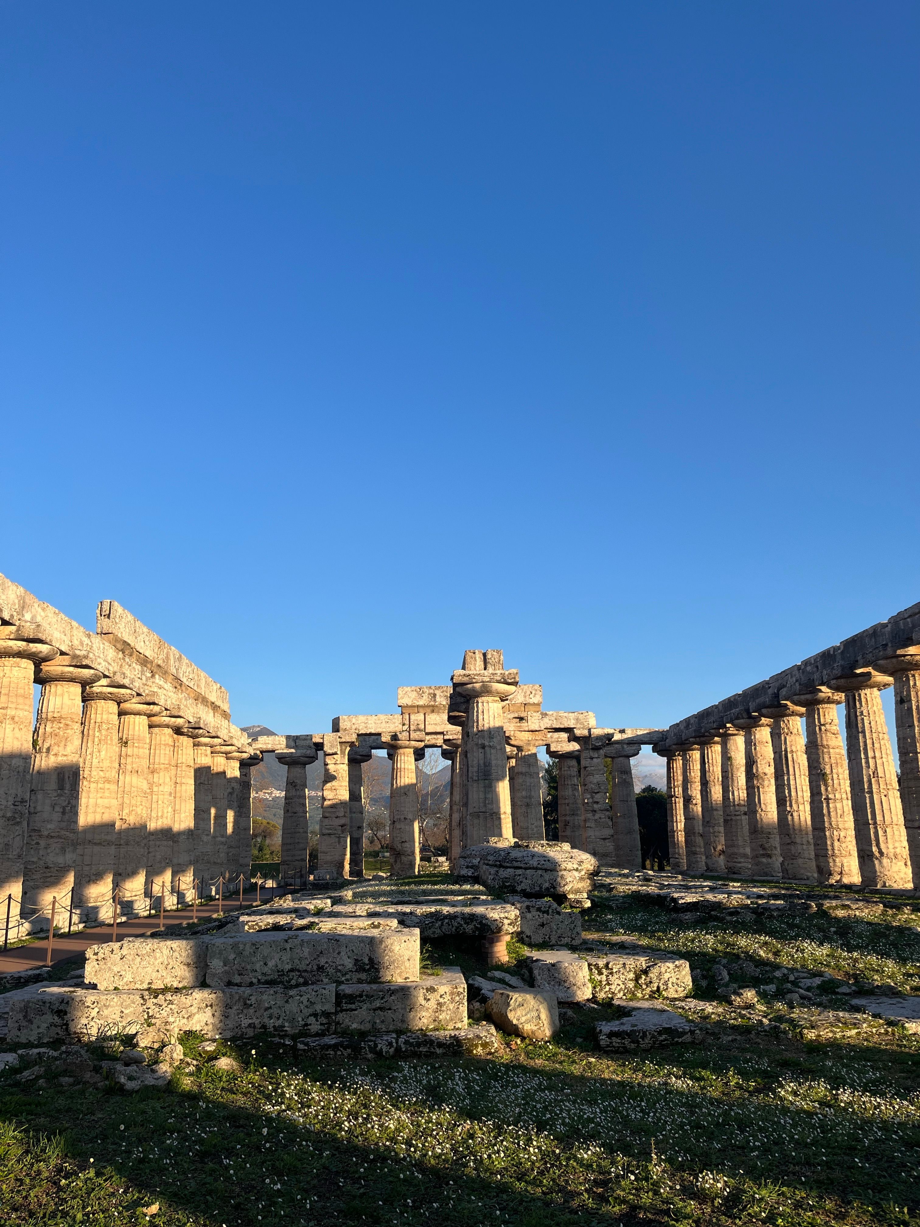 Explore the timeless beauty of the Greek Temple ruins in Paestum, Italy.
