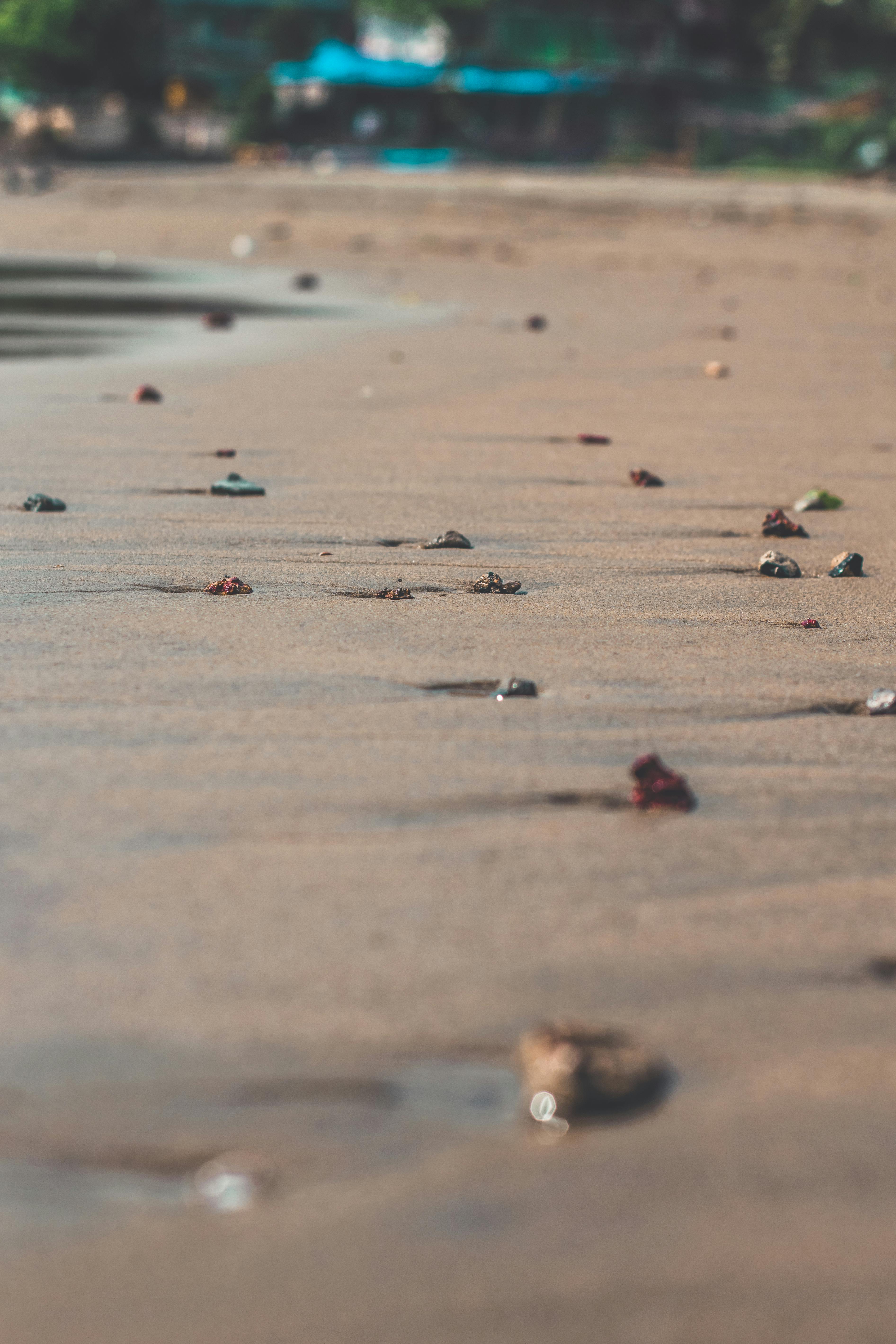Elan Pendant Lights in a Modern Dining Room