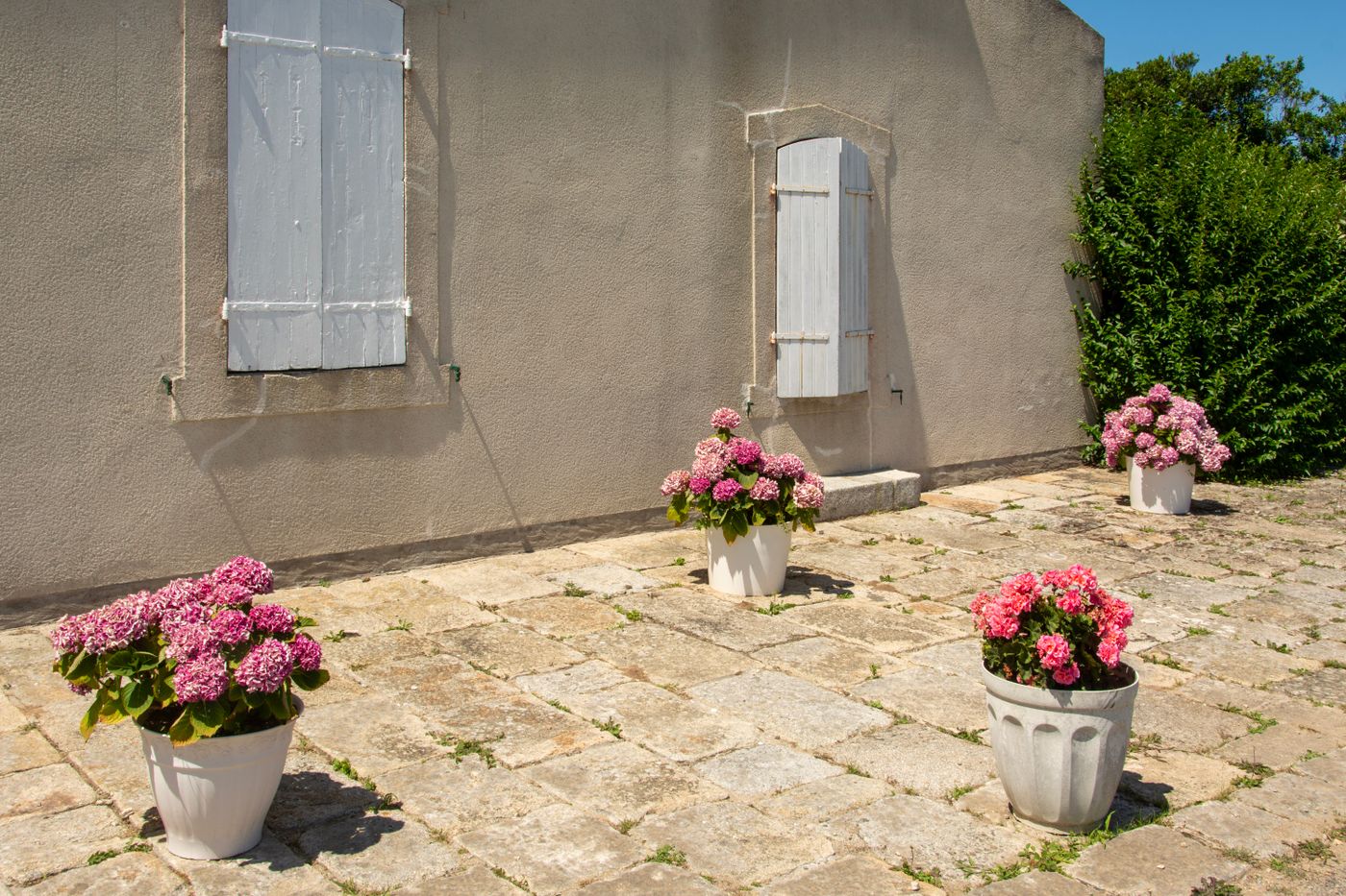Terrasse en pierre soignée avec pots de fleurs