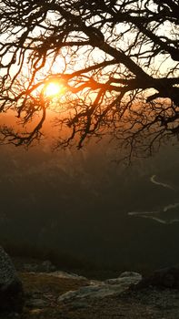 A stunning sunset casting warm hues over a valley, framed by bare tree branches.