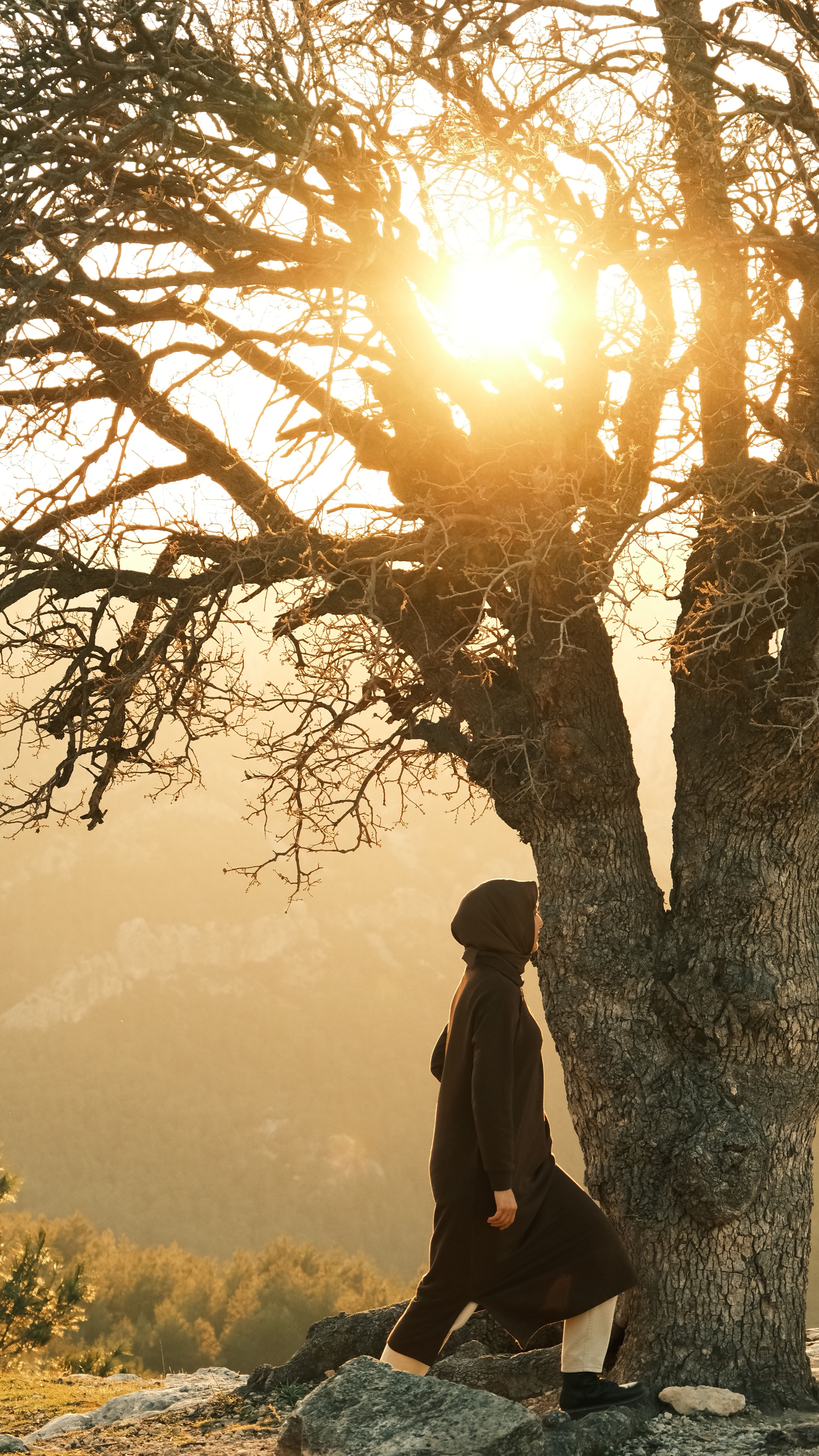 A Photography Of A Man Standing On A Tree · Free Stock Photo