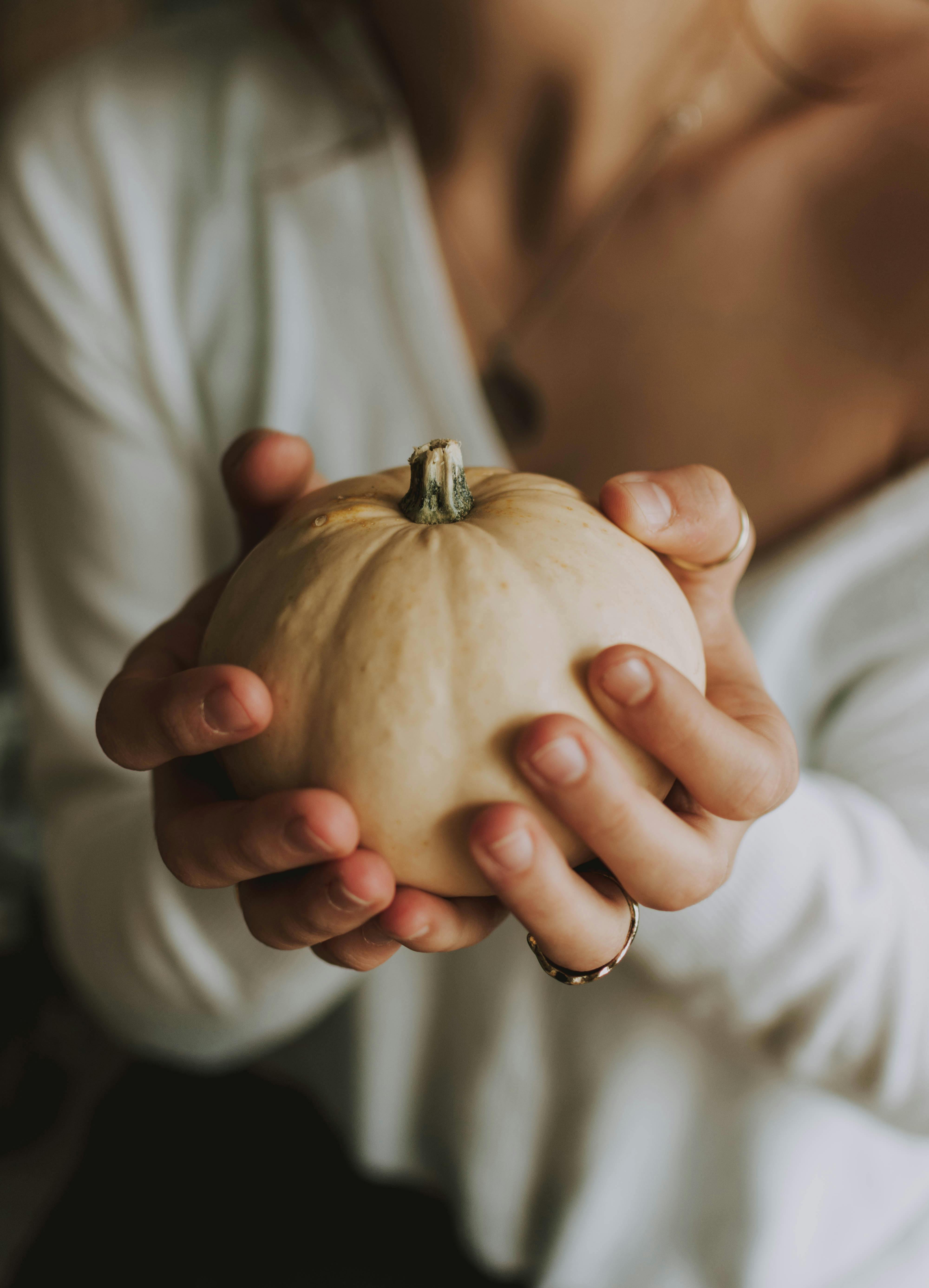 Close-up of hands holding a small white pumpkin, showcasing autumn harvest mood.