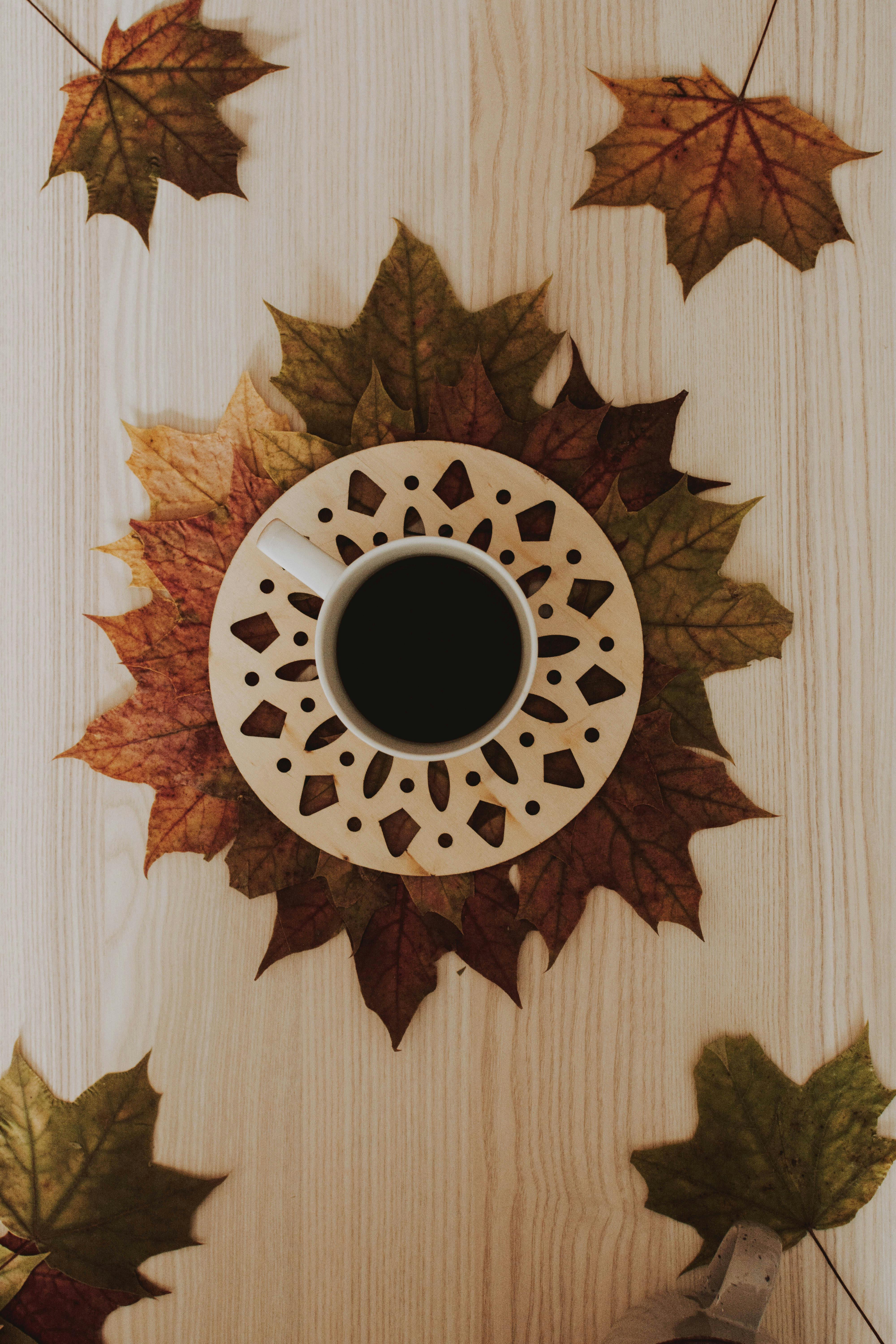 Coffee in Cup in Autumn Cozy Decoration · Free Stock Photo