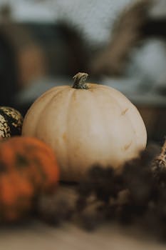 这幅秋季主题的图像以南瓜和凤尾鱼为特色，营造出温暖而质朴的氛围