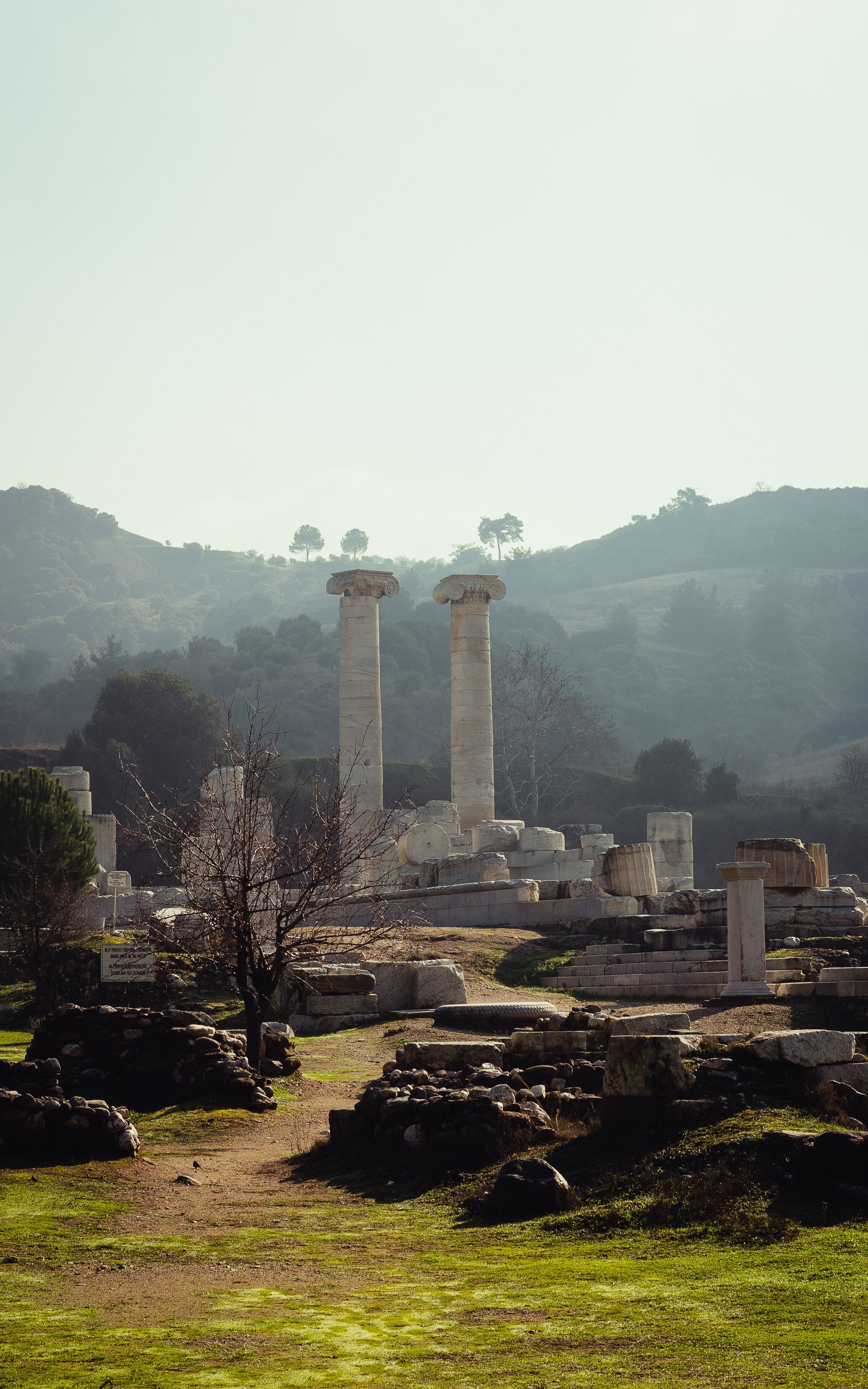 Ancient Ruins of Temple with Iconic Columns · Free Stock Photo