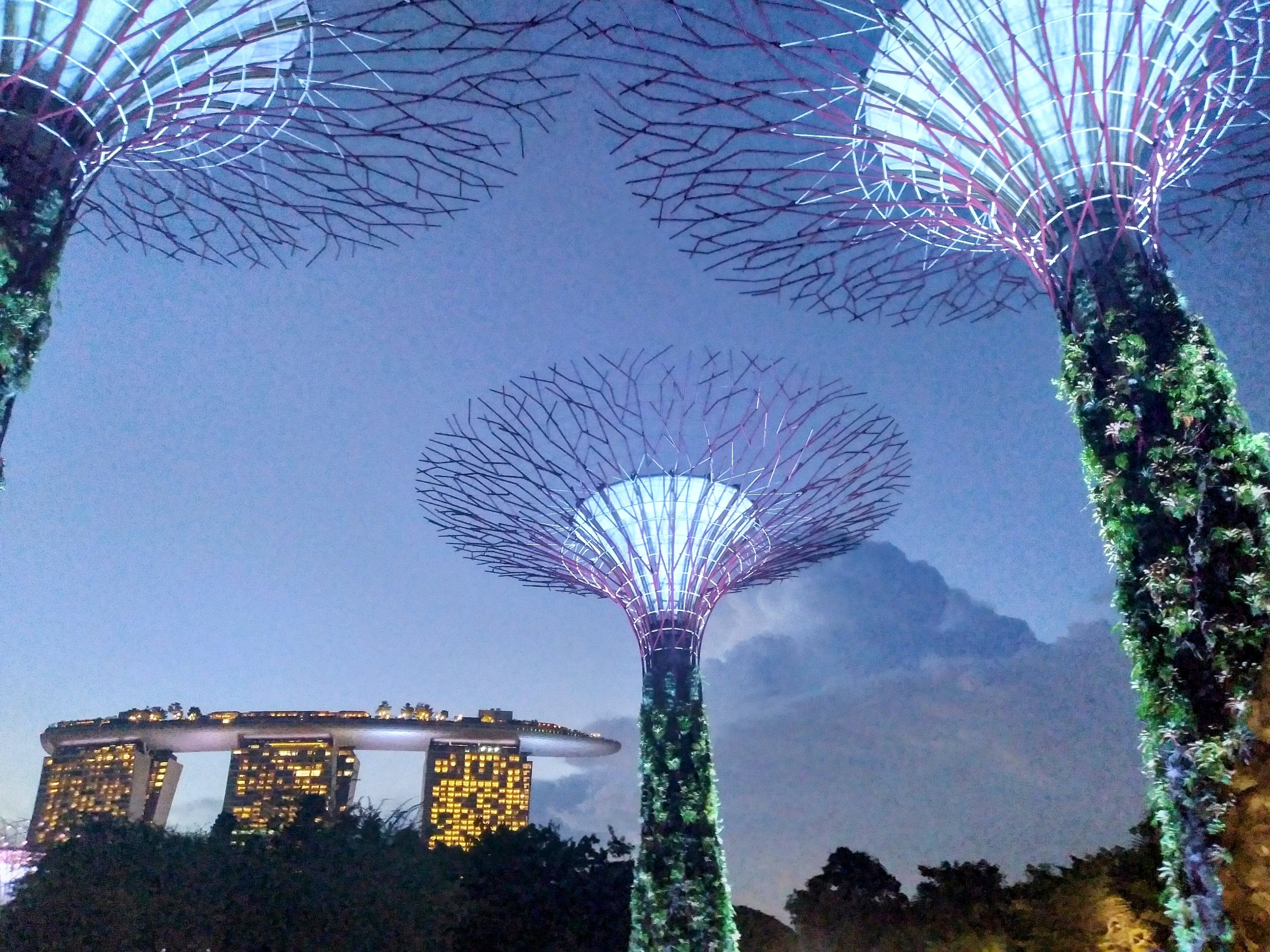 Marina Bay Sands hotel and illuminated Supertree Grove at Gardens by the Bay during sunset in Singapore