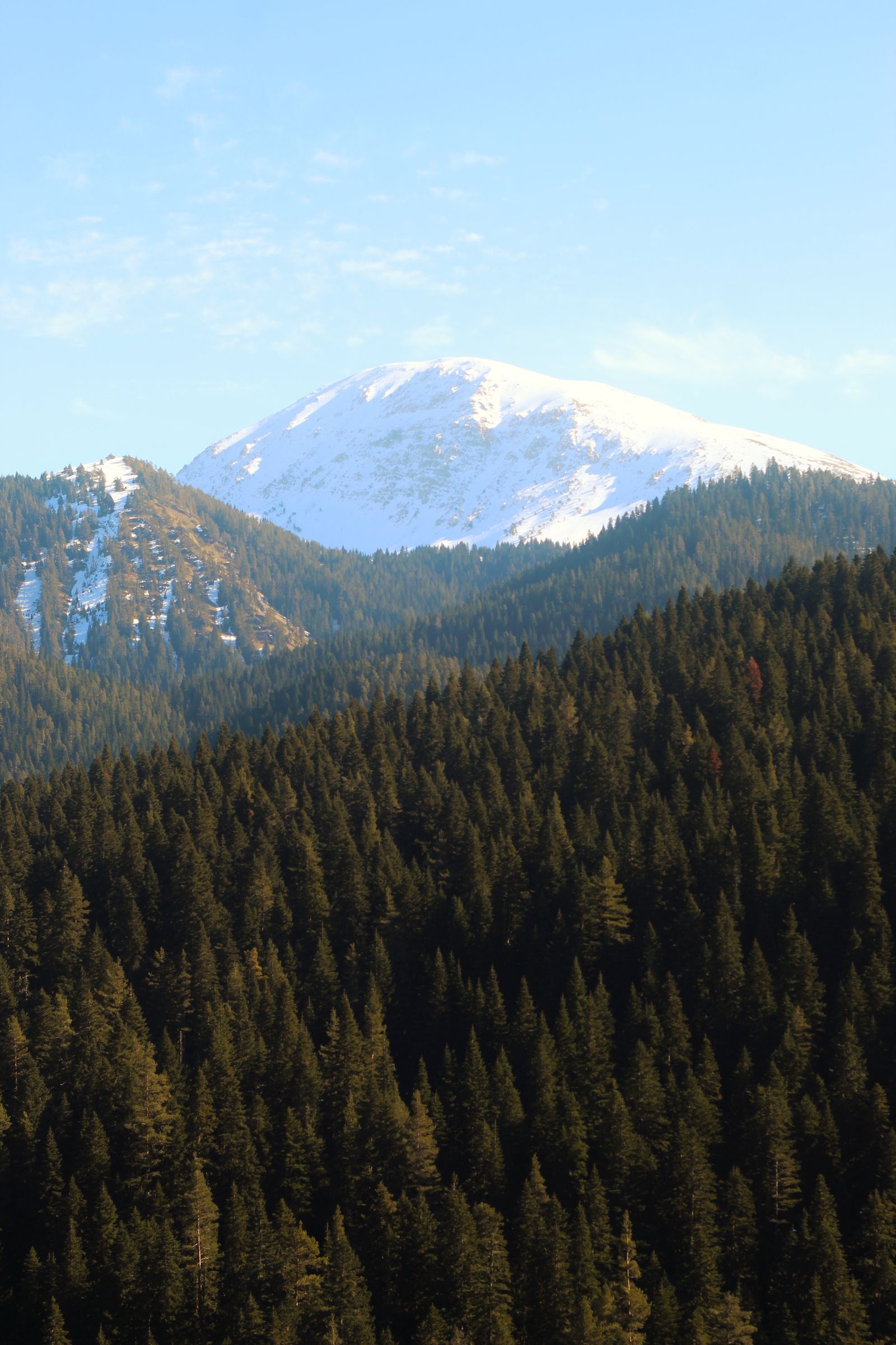 Snow-capped mountain with pine forest, illustrative of Troodos winters