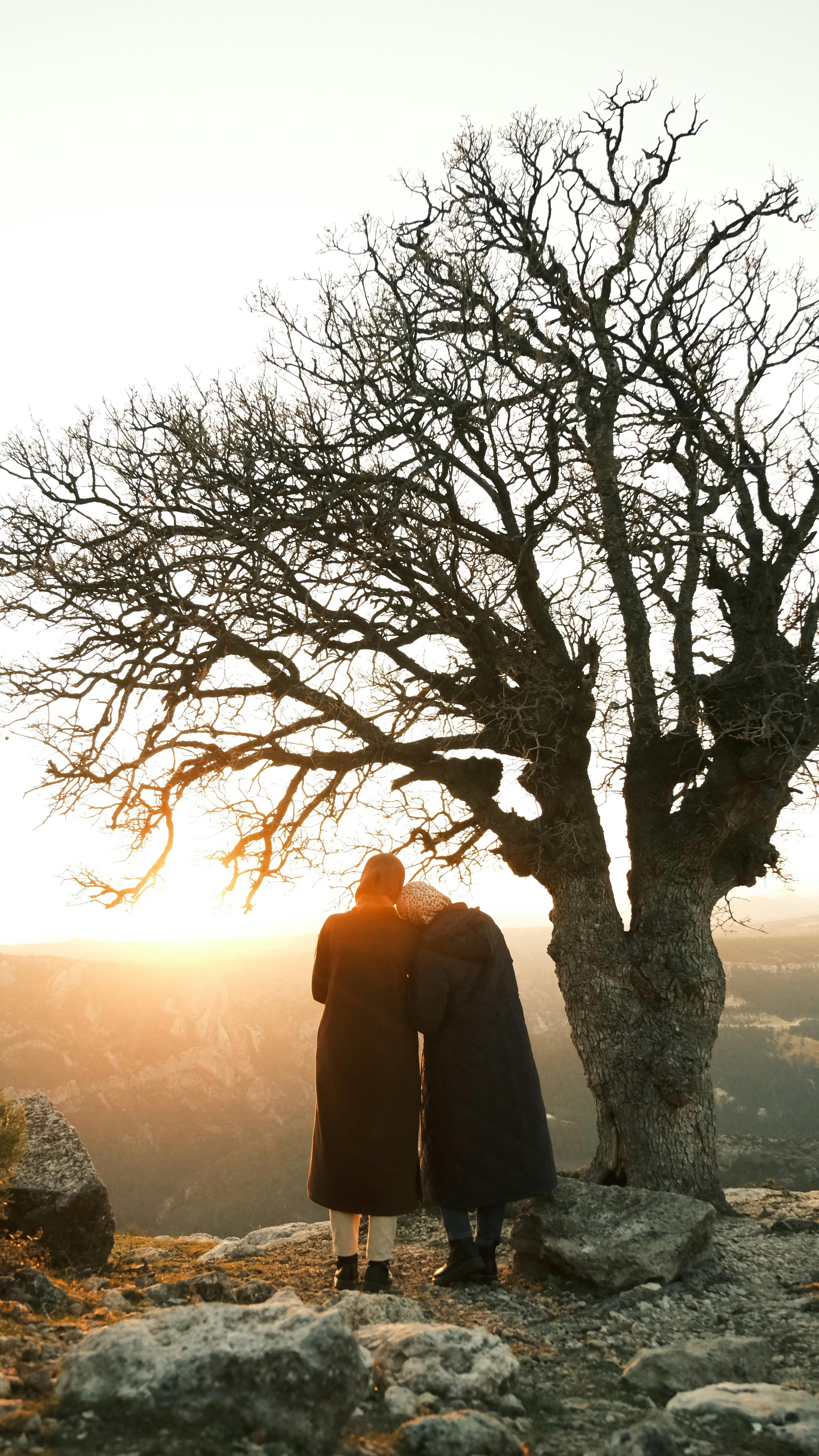 Romantic couple standing by a tree, embracing during a breathtaking sunset.